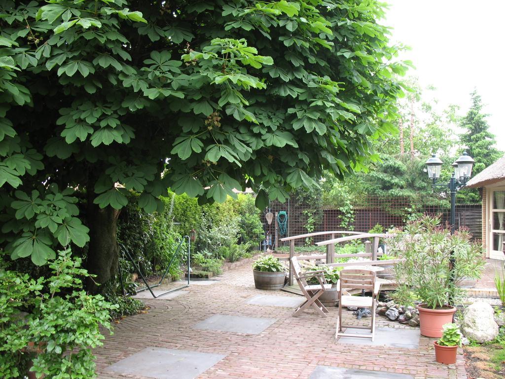 Bed and Breakfast Altijd Zon Осс Номер фото